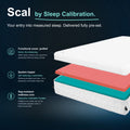 Sleep Calibration Double